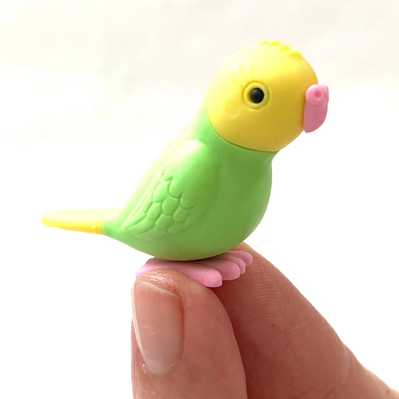 380051 BIRDS ERASERS-30