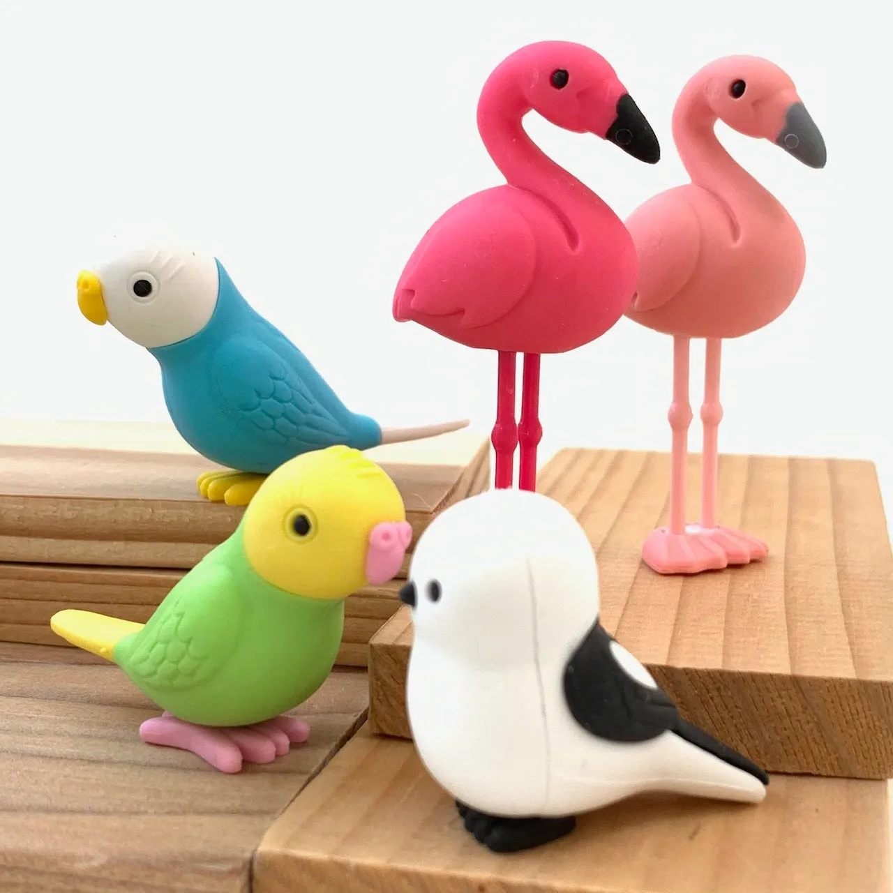 380051 BIRDS ERASERS-30