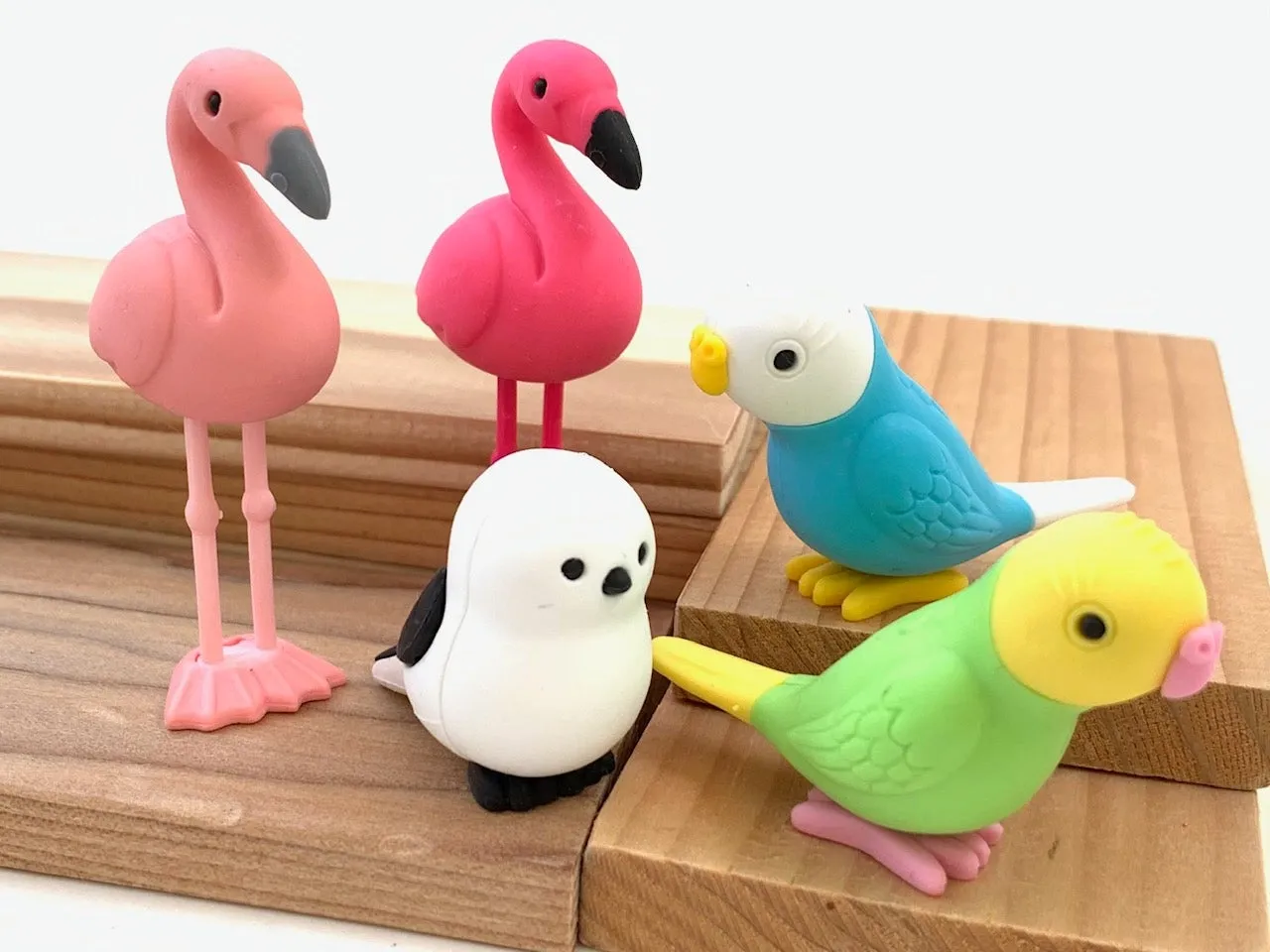 380051 BIRDS ERASERS-30