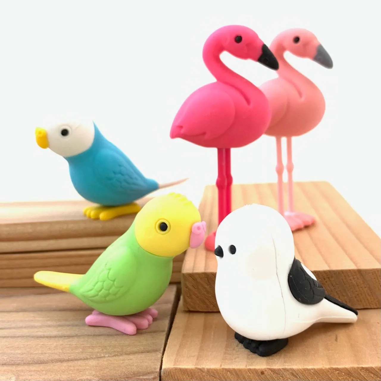 380051 BIRDS ERASERS-30