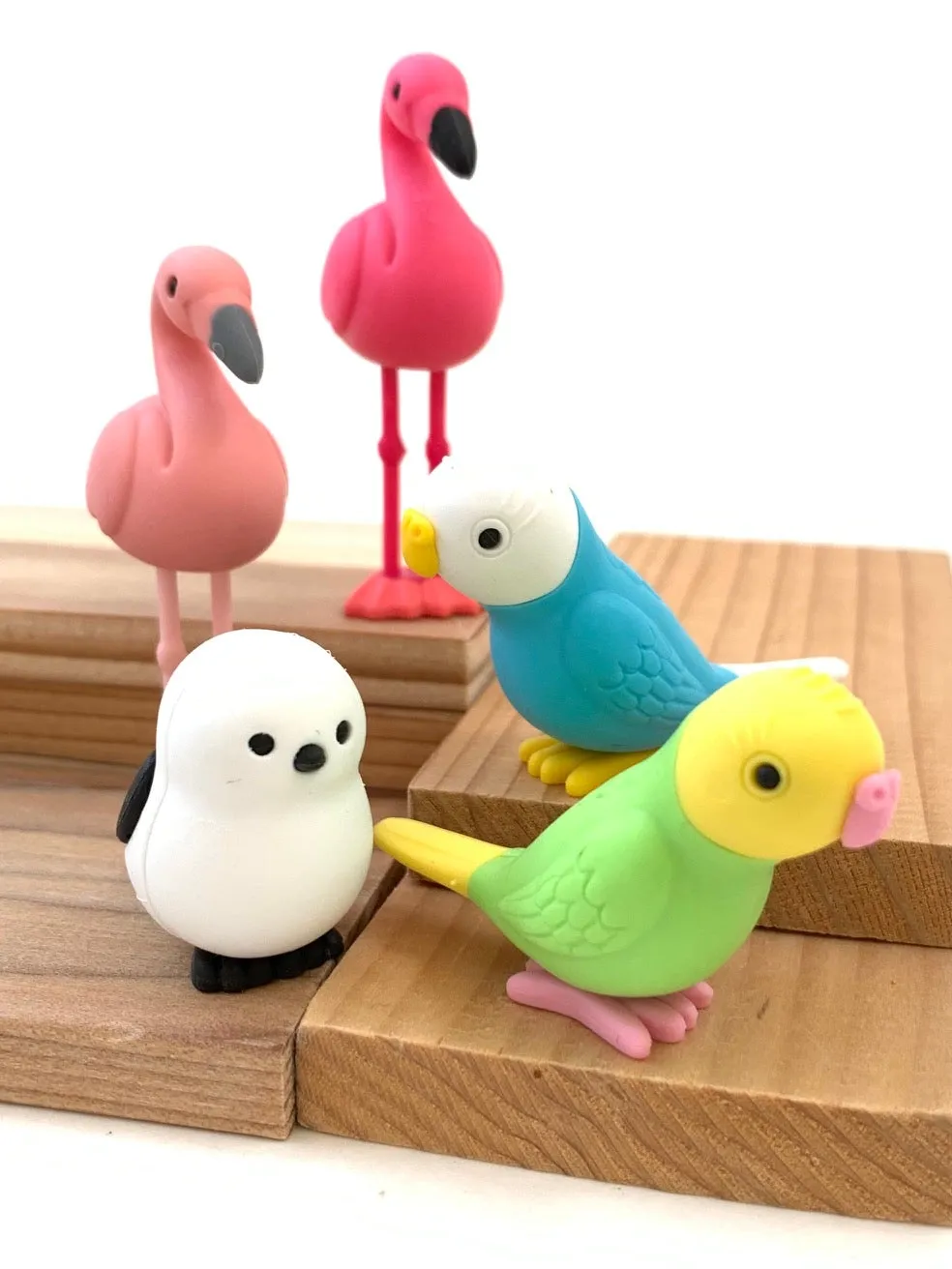 380051 BIRDS ERASERS-30