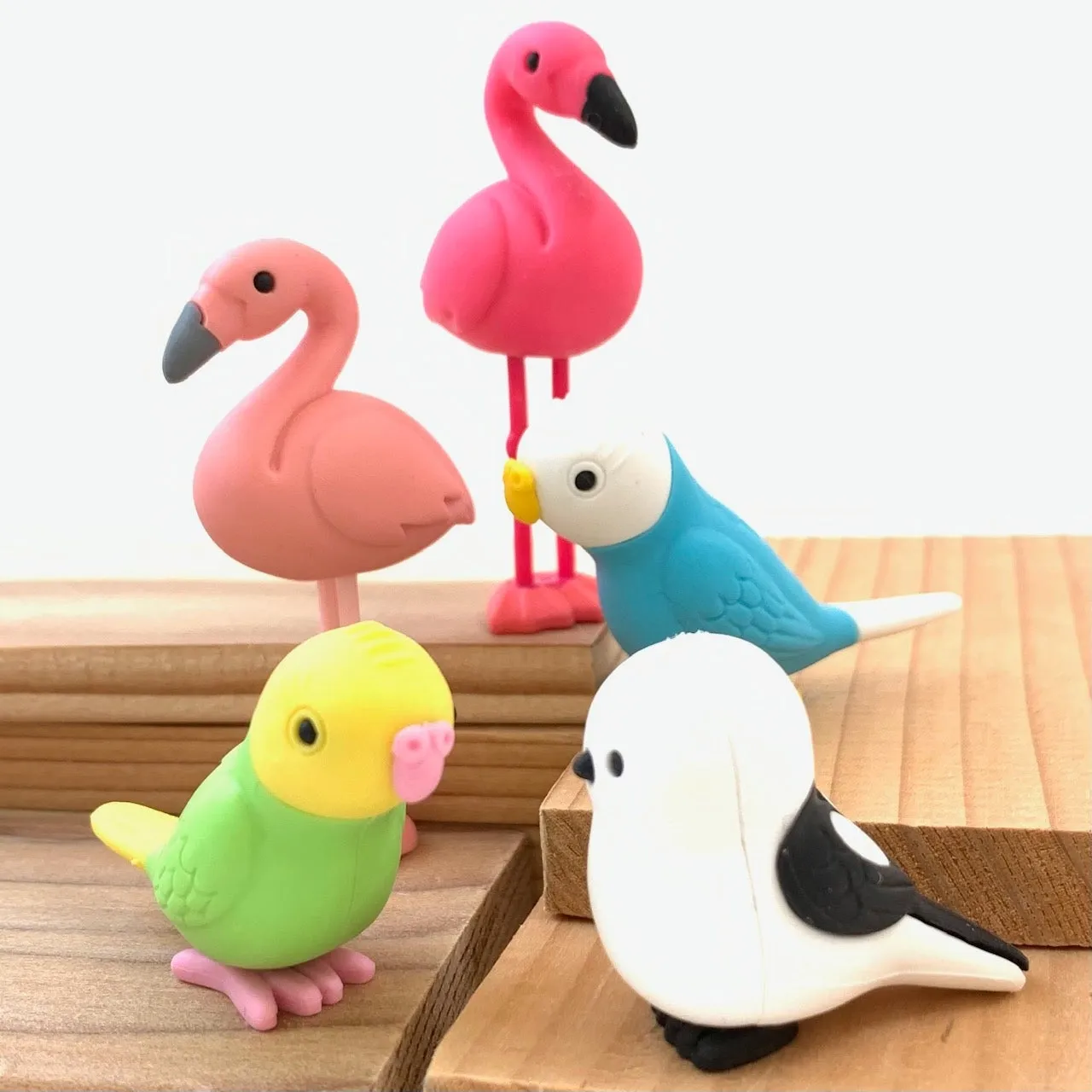 380051 BIRDS ERASERS-30