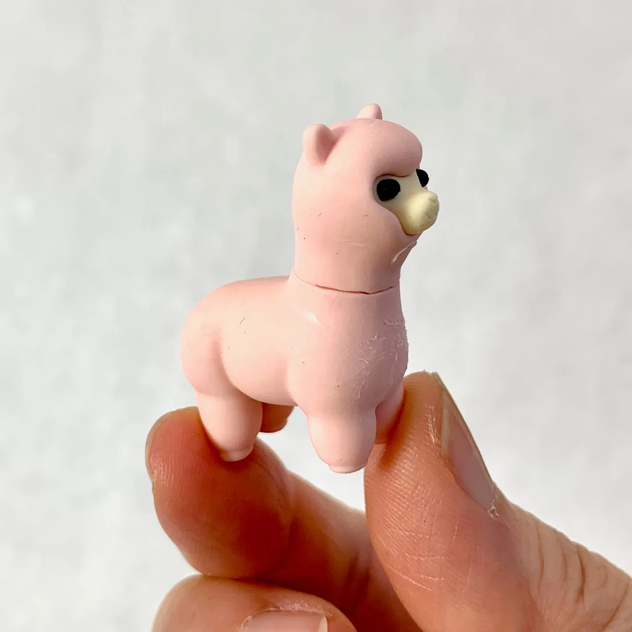 380201 IWAKO SHEEP & LLAMA ERASERS-ASSORTED-30