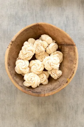 Bag Of 16 Dried Shell Flowers