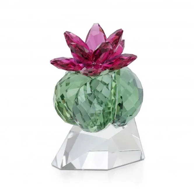 Bordeaux Cactus Multicoloured Crystal Sculpture 5426978