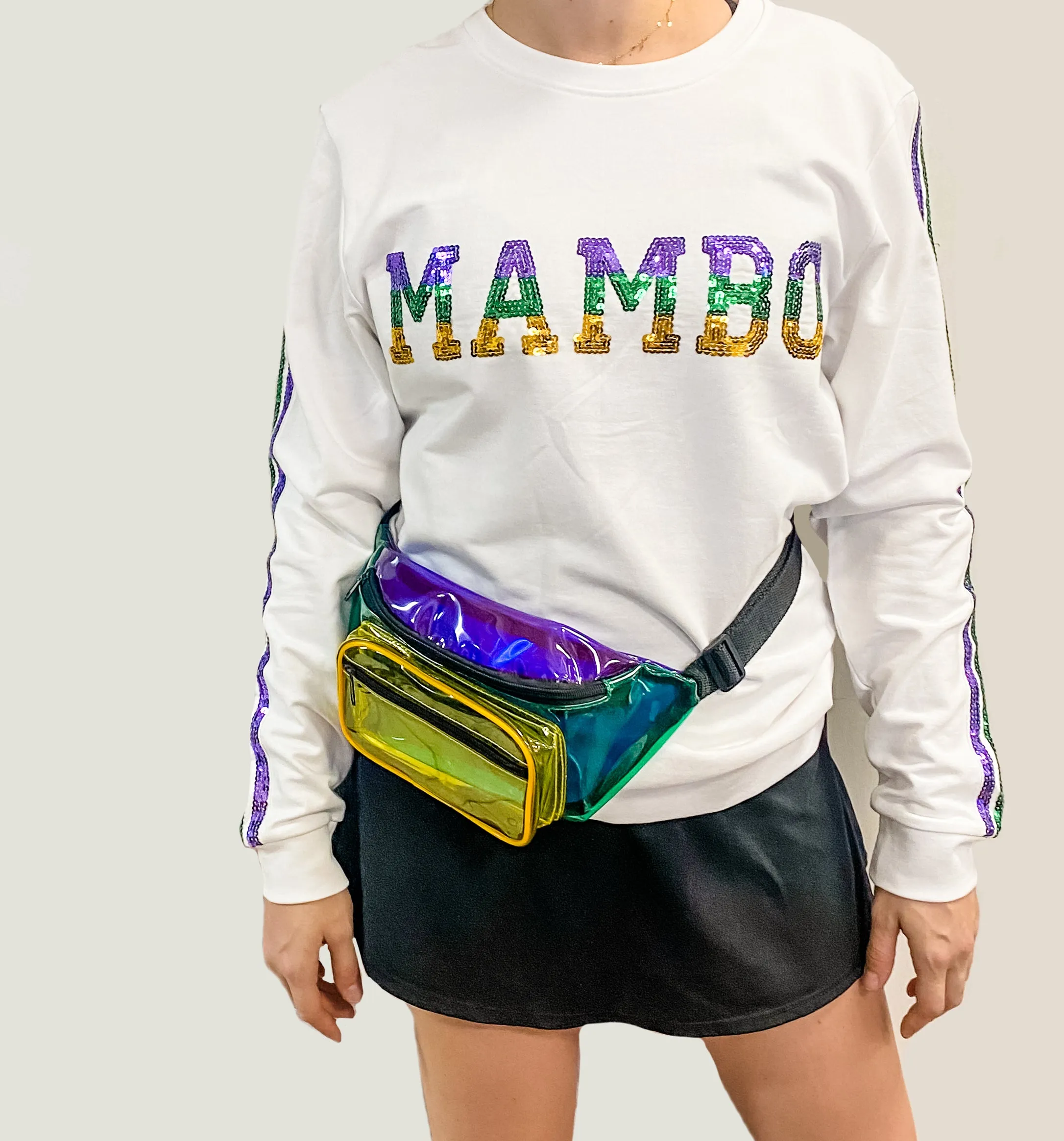 Color Block Purple, Green, Gold Transparent Fanny Pack