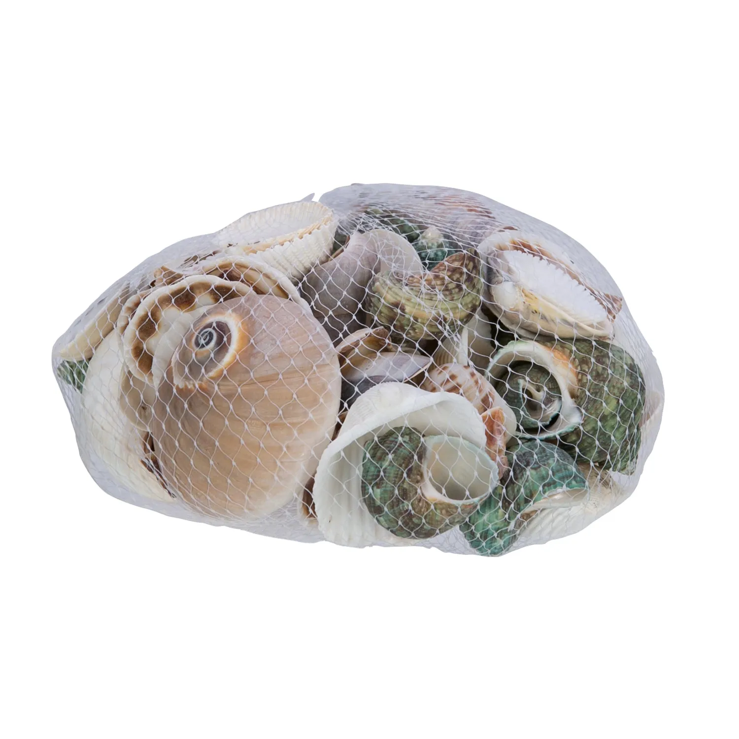 Net Bag of Mixed Shells