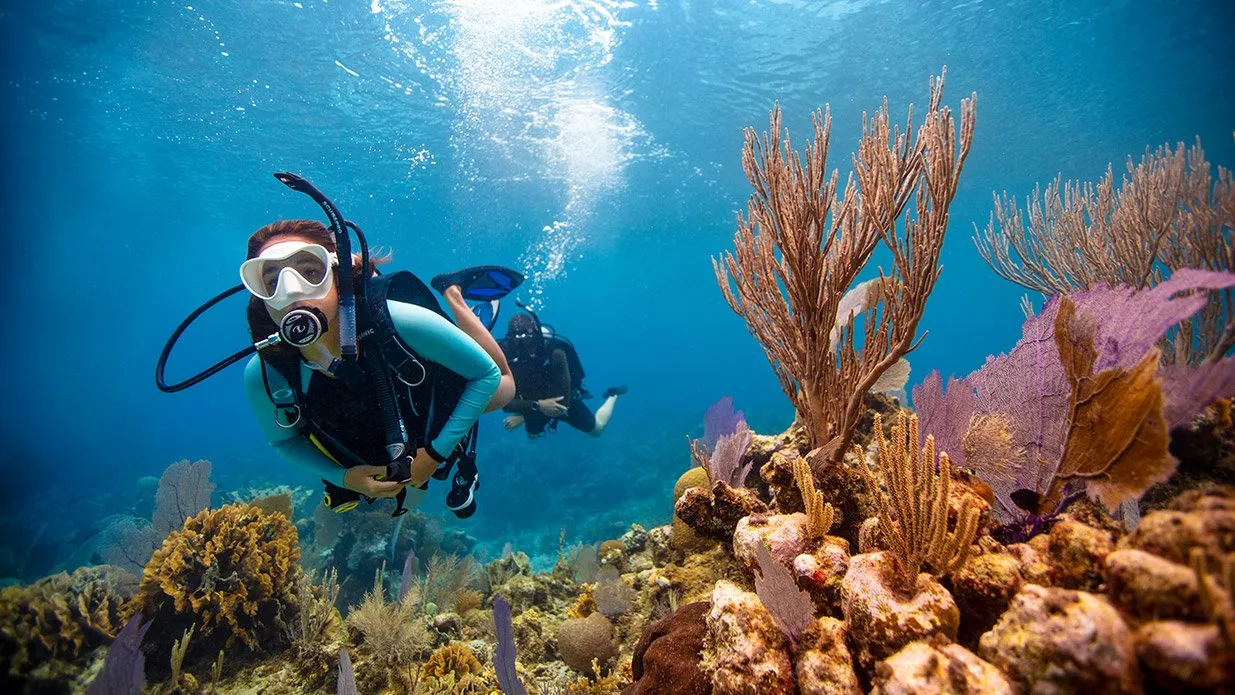 PADI Scuba Diving eLearning