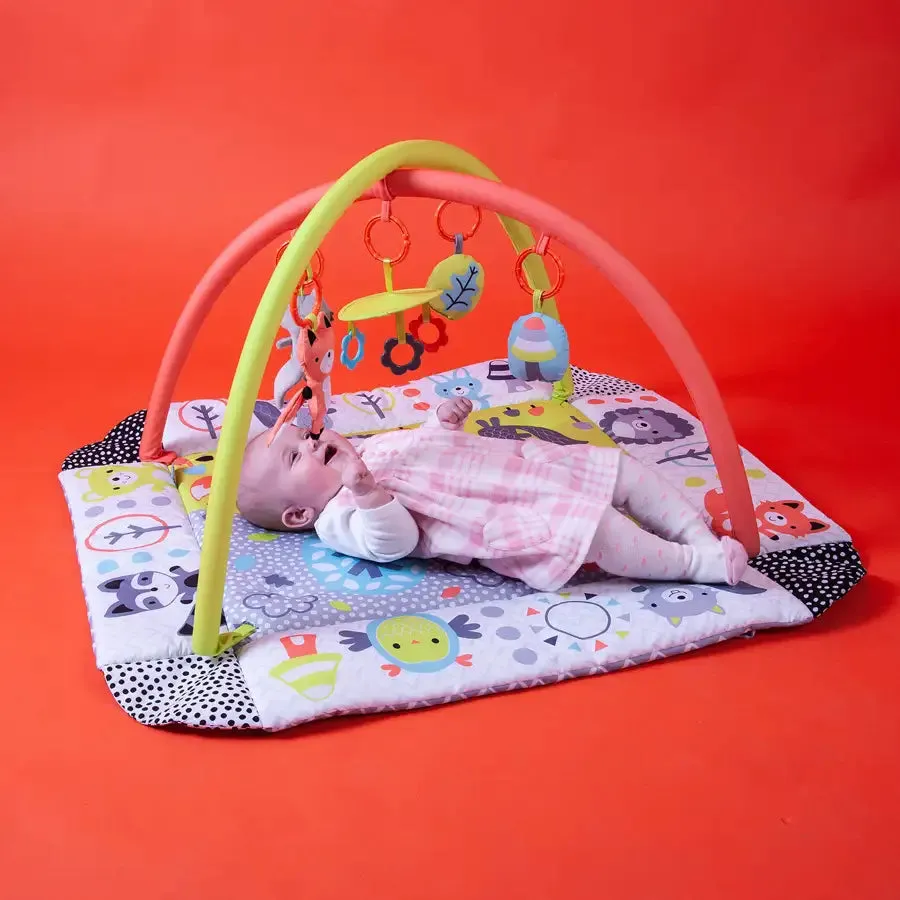 Redkite Baby Ball Play Gym-Peppermint Trail