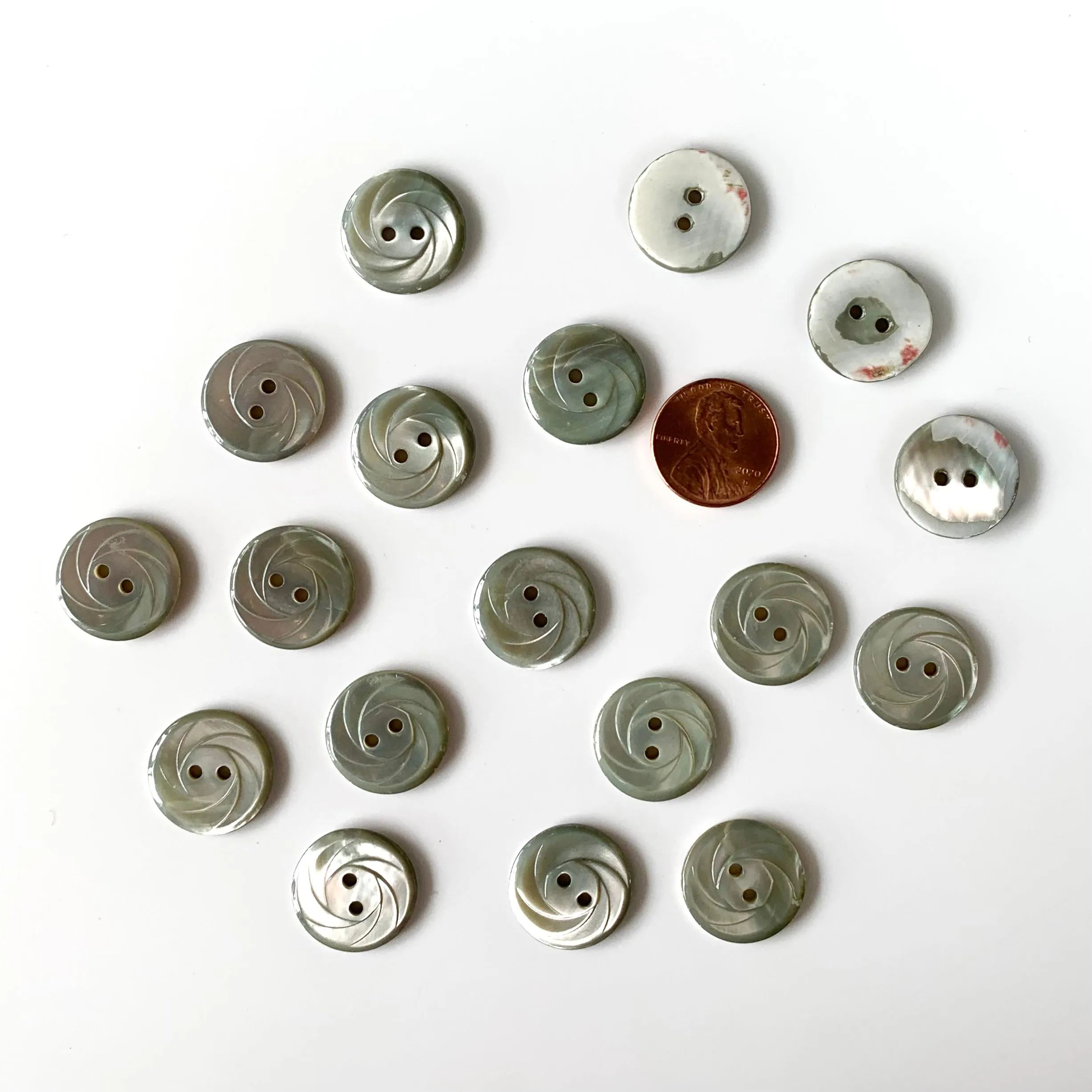 Shell Buttons