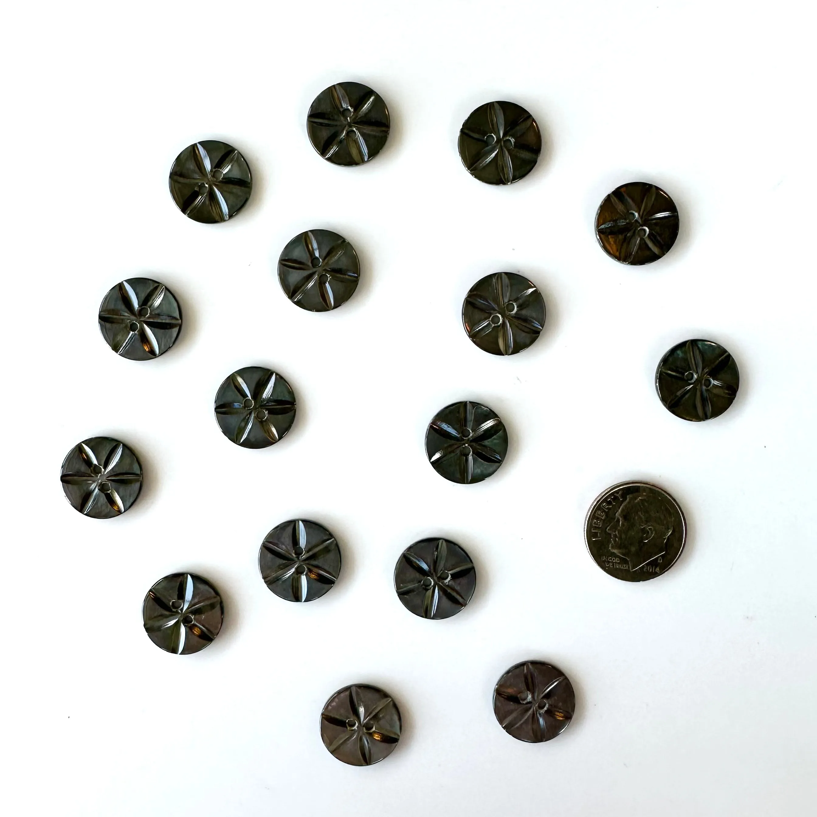 Shell Buttons