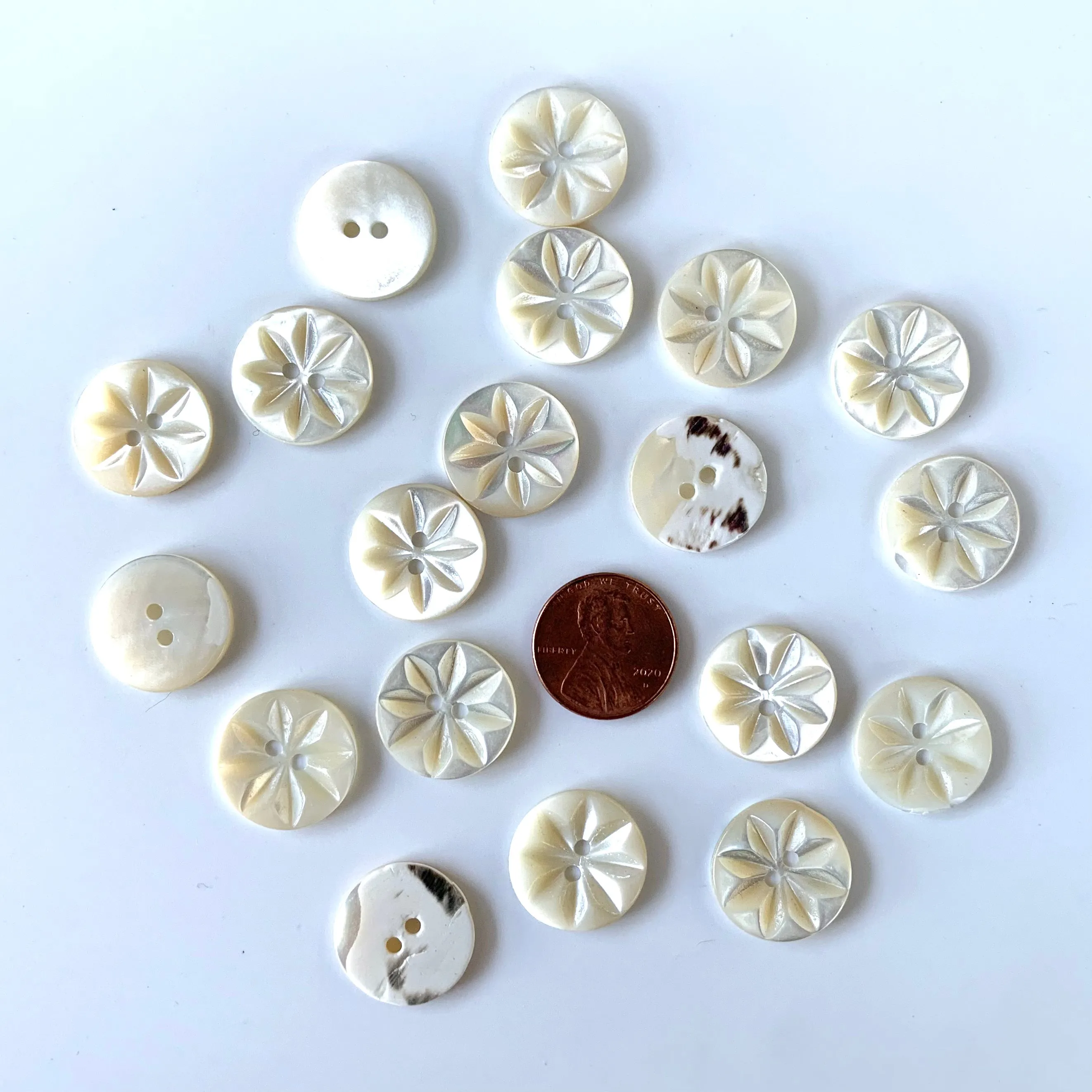 Shell Buttons