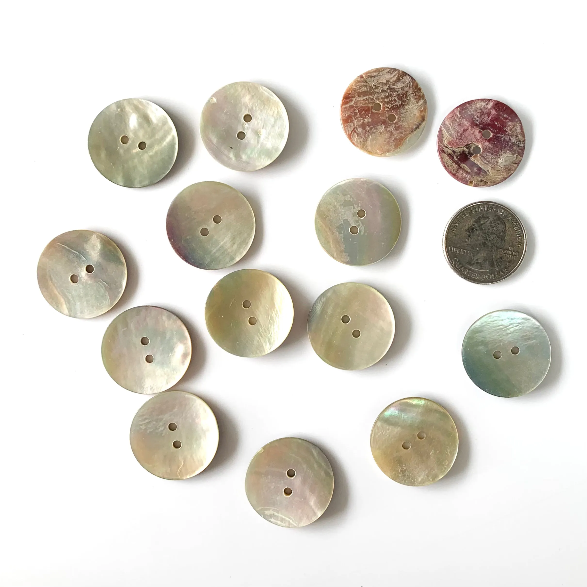 Shell Buttons